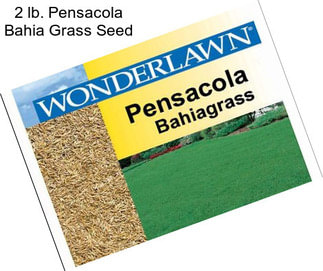 2 lb. Pensacola Bahia Grass Seed