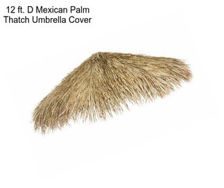 12 ft. D Mexican Palm Thatch Umbrella Cover