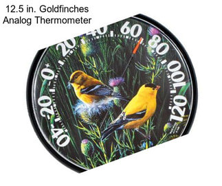 12.5 in. Goldfinches Analog Thermometer