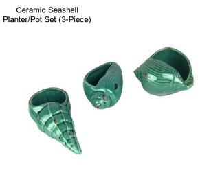 Ceramic Seashell Planter/Pot Set (3-Piece)
