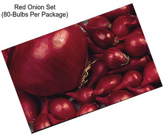 Red Onion Set (80-Bulbs Per Package)