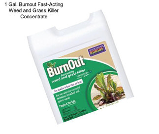 1 Gal. Burnout Fast-Acting Weed and Grass Killer Concentrate