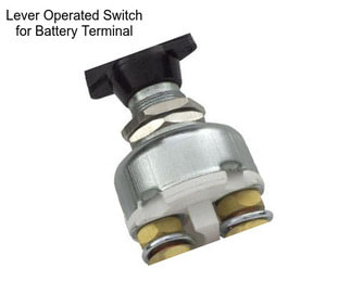 Lever Operated Switch for Battery Terminal