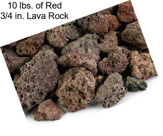 10 lbs. of Red 3/4 in. Lava Rock