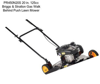 PR450N20S 20 in. 125cc Briggs & Stratton Gas Walk Behind Push Lawn Mower