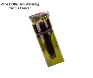 Wine Bottle Self-Watering Cactus Planter