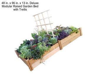 48 in. x 96 in. x 13 in. Deluxe Modular Raised Garden Bed with Trellis