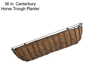 36 in. Canterbury Horse Trough Planter