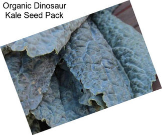 Organic Dinosaur Kale Seed Pack