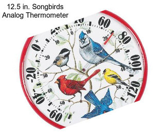 12.5 in. Songbirds Analog Thermometer