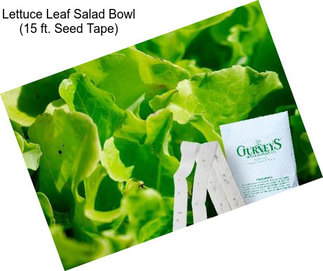 Lettuce Leaf Salad Bowl (15 ft. Seed Tape)