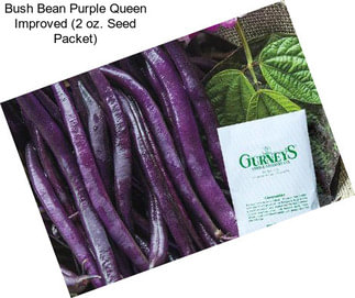 Bush Bean Purple Queen Improved (2 oz. Seed Packet)