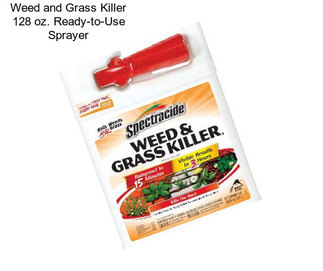 Weed and Grass Killer 128 oz. Ready-to-Use Sprayer