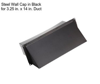 Steel Wall Cap in Black for 3.25 in. x 14 in. Duct