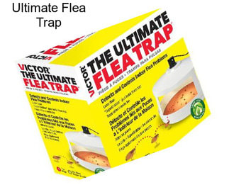 Ultimate Flea Trap