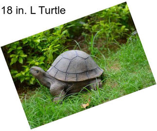 18 in. L Turtle