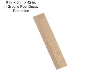 6 in. x 6 in. x 42 in. In-Ground Post Decay Protection