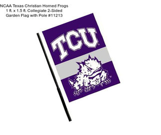 NCAA Texas Christian Horned Frogs 1 ft. x 1.5 ft. Collegiate 2-Sided Garden Flag with Pole #11213