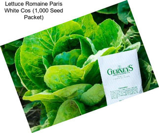 Lettuce Romaine Paris White Cos (1,000 Seed Packet)