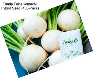 Turnip Fuku Komachi Hybrid Seed (400-Pack)