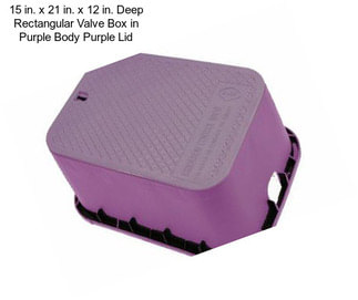 15 in. x 21 in. x 12 in. Deep Rectangular Valve Box in Purple Body Purple Lid