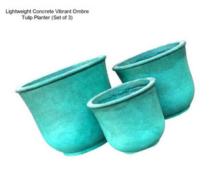 Lightweight Concrete Vibrant Ombre Tulip Planter (Set of 3)