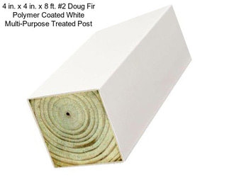 4 in. x 4 in. x 8 ft. #2 Doug Fir Polymer Coated White Multi-Purpose Treated Post