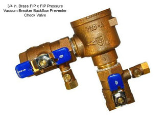3/4 in. Brass FIP x FIP Pressure Vacuum Breaker Backflow Preventer Check Valve