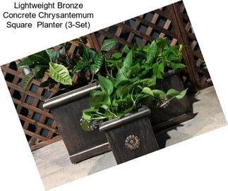 Lightweight Bronze Concrete Chrysantemum Square  Planter (3-Set)