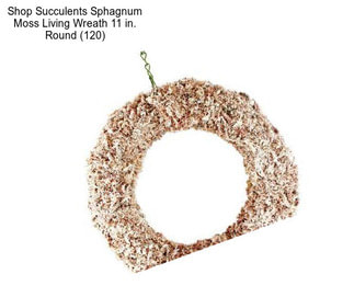 Shop Succulents Sphagnum Moss Living Wreath 11 in. Round (120)