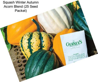 Squash Winter Autumn Acorn Blend (25 Seed Packet)