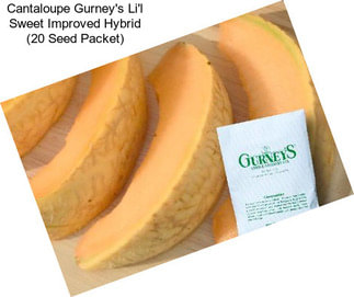 Cantaloupe Gurney\'s Li\'l Sweet Improved Hybrid (20 Seed Packet)