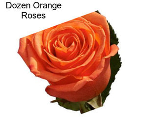 Dozen Orange Roses