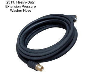 25 Ft. Heavy-Duty Extension Pressure Washer Hose