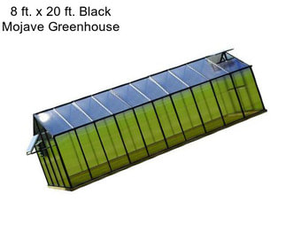 8 ft. x 20 ft. Black Mojave Greenhouse