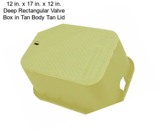 12 in. x 17 in. x 12 in. Deep Rectangular Valve Box in Tan Body Tan Lid