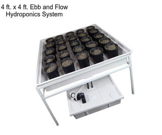 4 ft. x 4 ft. Ebb and Flow Hydroponics System