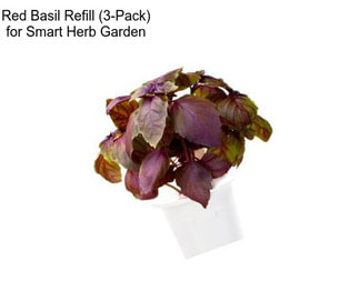 Red Basil Refill (3-Pack) for Smart Herb Garden