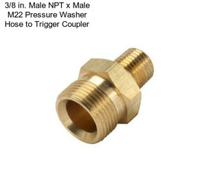 3/8 in. Male NPT x Male M22 Pressure Washer Hose to Trigger Coupler