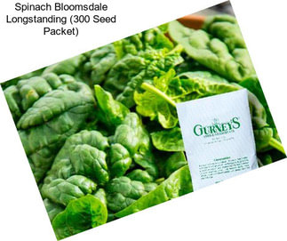 Spinach Bloomsdale Longstanding (300 Seed Packet)