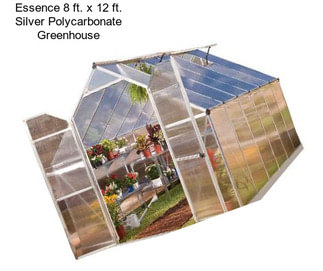 Essence 8 ft. x 12 ft. Silver Polycarbonate Greenhouse