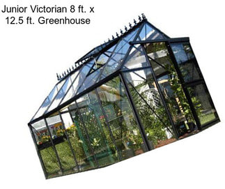 Junior Victorian 8 ft. x 12.5 ft. Greenhouse