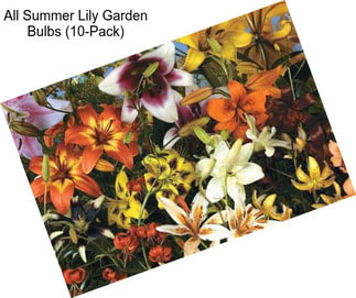 All Summer Lily Garden Bulbs (10-Pack)