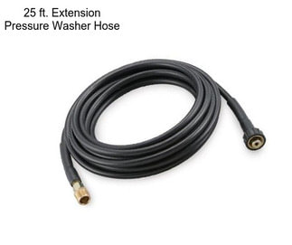 25 ft. Extension Pressure Washer Hose