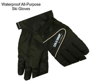 Waterproof All-Purpose Ski Gloves