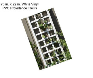 75 in. x 22 in. White Vinyl PVC Providence Trellis