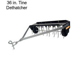 36 in. Tine Dethatcher