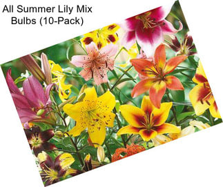 All Summer Lily Mix Bulbs (10-Pack)