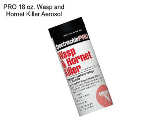 PRO 18 oz. Wasp and Hornet Killer Aerosol