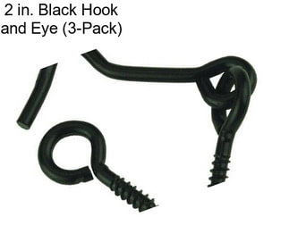 2 in. Black Hook and Eye (3-Pack)